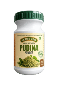 Farms Dew 100% Natural Pudina Powder (Mint Leaves Powder) - 100g Pure dried mint leaves powder for digestion, refreshing drinks, and skincare face packs.