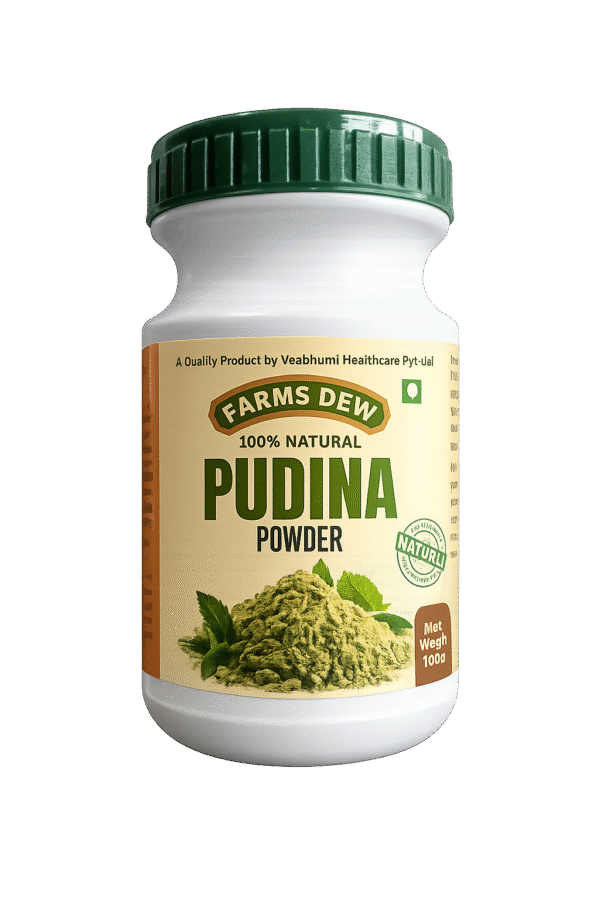 Farms Dew 100% Natural Pudina Powder (Mint Leaves Powder) - 100g Pure dried mint leaves powder for digestion, refreshing drinks, and skincare face packs.